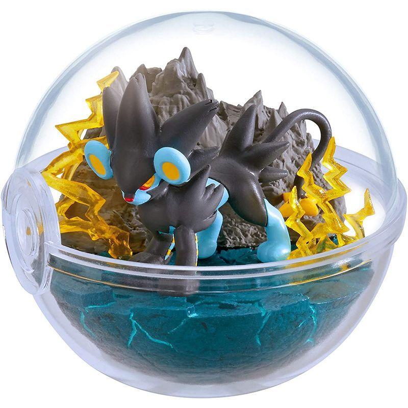 21公式店舗 ポケットモンスター テラリウムコレクション9 Box商品 ヒーロー遊び Ceditom Com Br