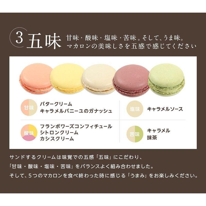 人気商品ランキング 産休 お菓子 あいさつ パパママ赤ちゃんのカワイイイラストのメッセージマカロン 個セット 手作り スイーツ ギフト Wantannas Go Id