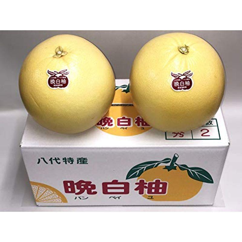 晩白柚 ばんぺいゆ 2玉入 3 8 以上 2lサイズ くまモン専用袋 バンペイユ くだもの天国撰別 パンフレット付き 熊本 最大62 オフ 八代特産
