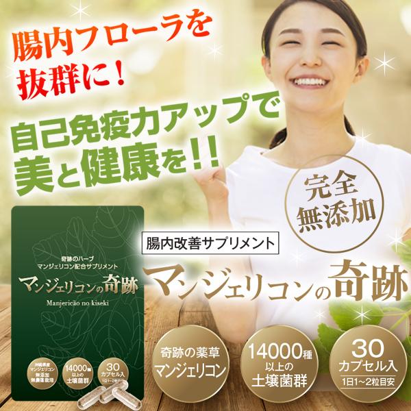 腸内サプリメント 腸内フローラ サプリ 便秘 便秘解消 腸内環境を整えるサプリ