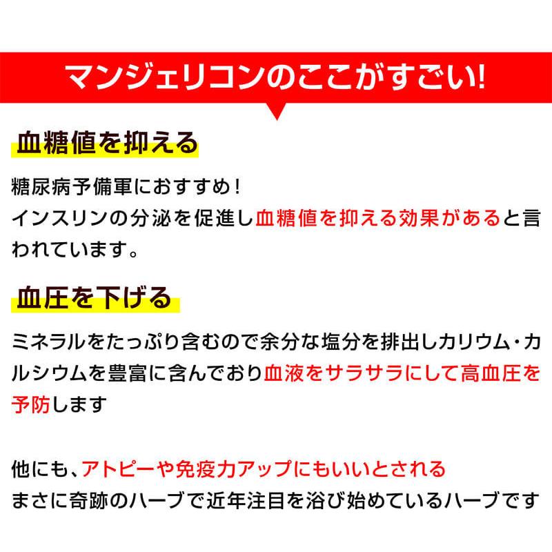腸内サプリメント 腸内フローラ サプリ 便秘 便秘解消 初回限定 腸内 