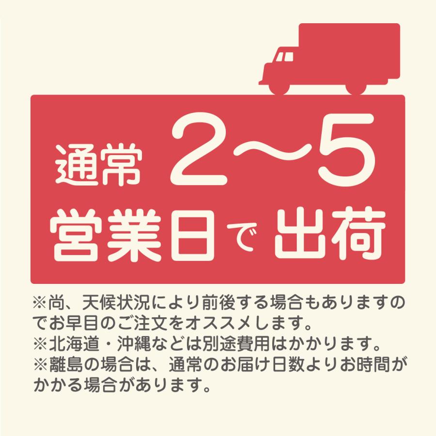 マスク 家紋 徳川 松平 今川 戦国 武将 大河ドラマ 徳川家康 今川義元 |  | 04