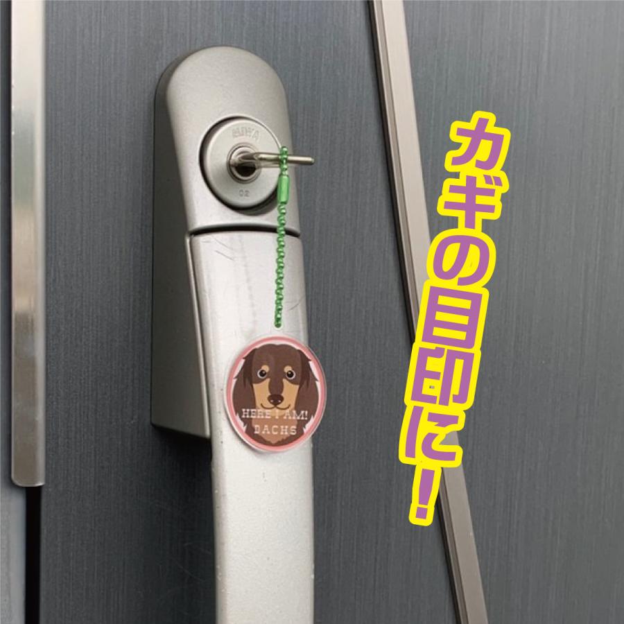 犬 イヌ  かわいい キーホルダー アクリル グッズ オリジナルイラスト プレゼント 贈り物 記念品 |  | 01