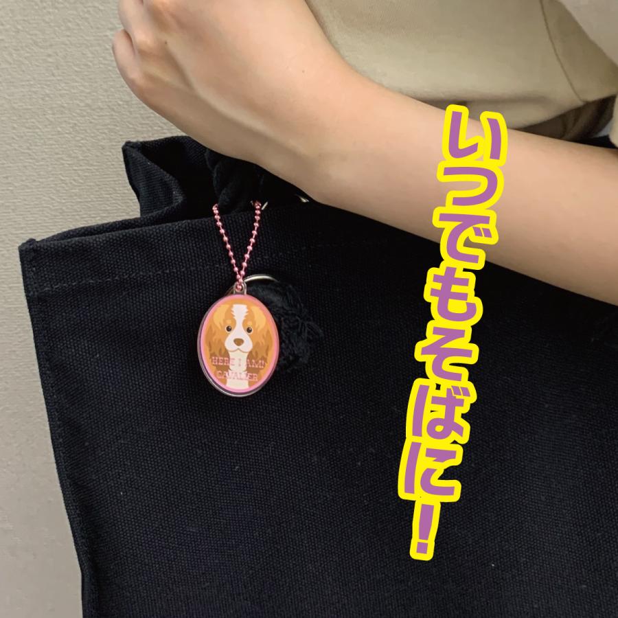 犬 イヌ  かわいい キーホルダー アクリル グッズ オリジナルイラスト プレゼント 贈り物 記念品 |  | 03