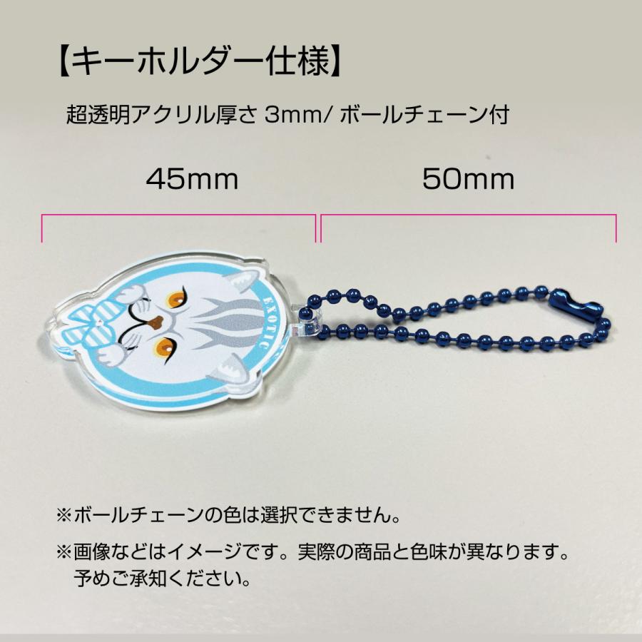 黒猫 かわいい キーホルダー 猫 ネコ アクリル グッズ オリジナルイラスト プレゼント 贈り物 記念品 |  | 01