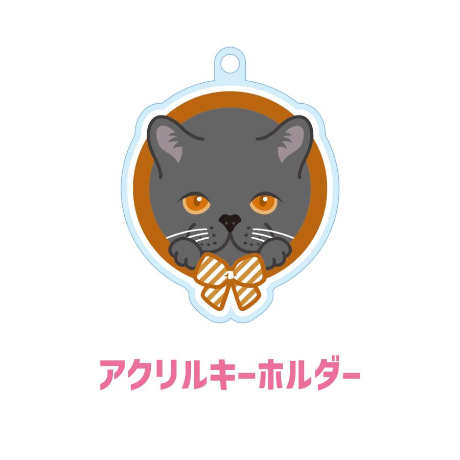 ブリティッシュショートヘア かわいい キーホルダー 猫 ネコ アクリル グッズ オリジナルイラスト プレゼント 贈り物 記念品 | 