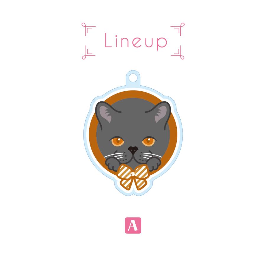 ブリティッシュショートヘア かわいい キーホルダー 猫 ネコ アクリル グッズ オリジナルイラスト プレゼント 贈り物 記念品 |  | 02