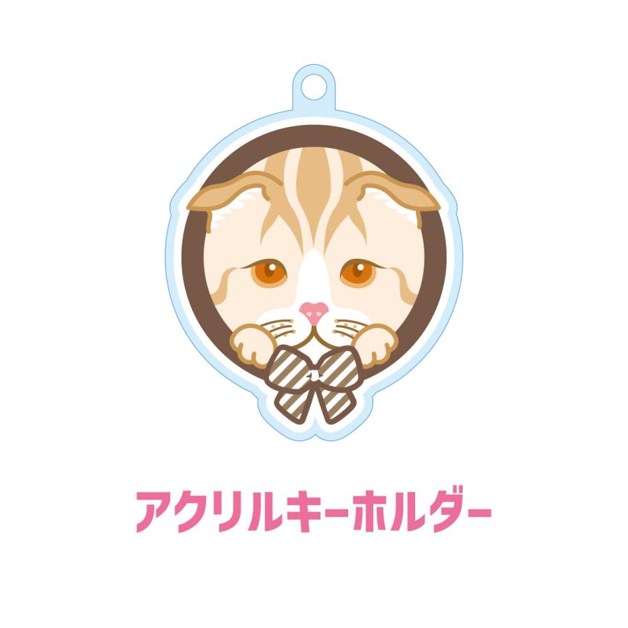 スコティッシュフォールド かわいい キーホルダー 猫 ネコ アクリル グッズ オリジナルイラスト プレゼント 贈り物 記念品 | 