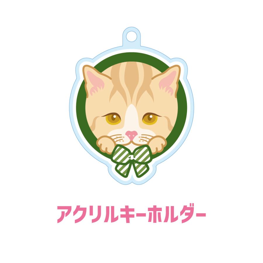 マンチカン かわいい キーホルダー 猫 ネコ アクリル グッズ オリジナルイラスト プレゼント 贈り物 記念品 | 