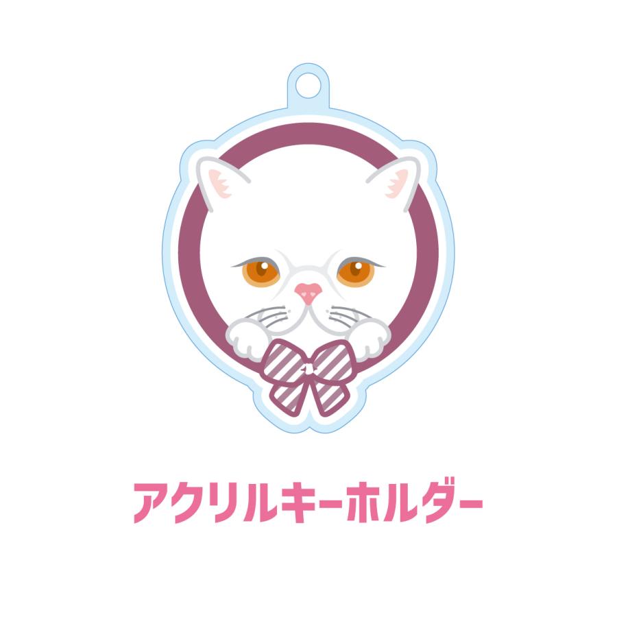 エキゾチックショートヘア かわいい キーホルダー 猫 ネコ アクリル グッズ オリジナルイラスト プレゼント 贈り物 記念品 | 