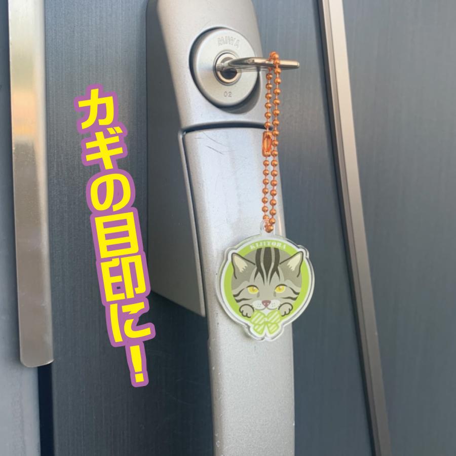 エキゾチックショートヘア かわいい キーホルダー 猫 ネコ アクリル グッズ オリジナルイラスト プレゼント 贈り物 記念品 |  | 03