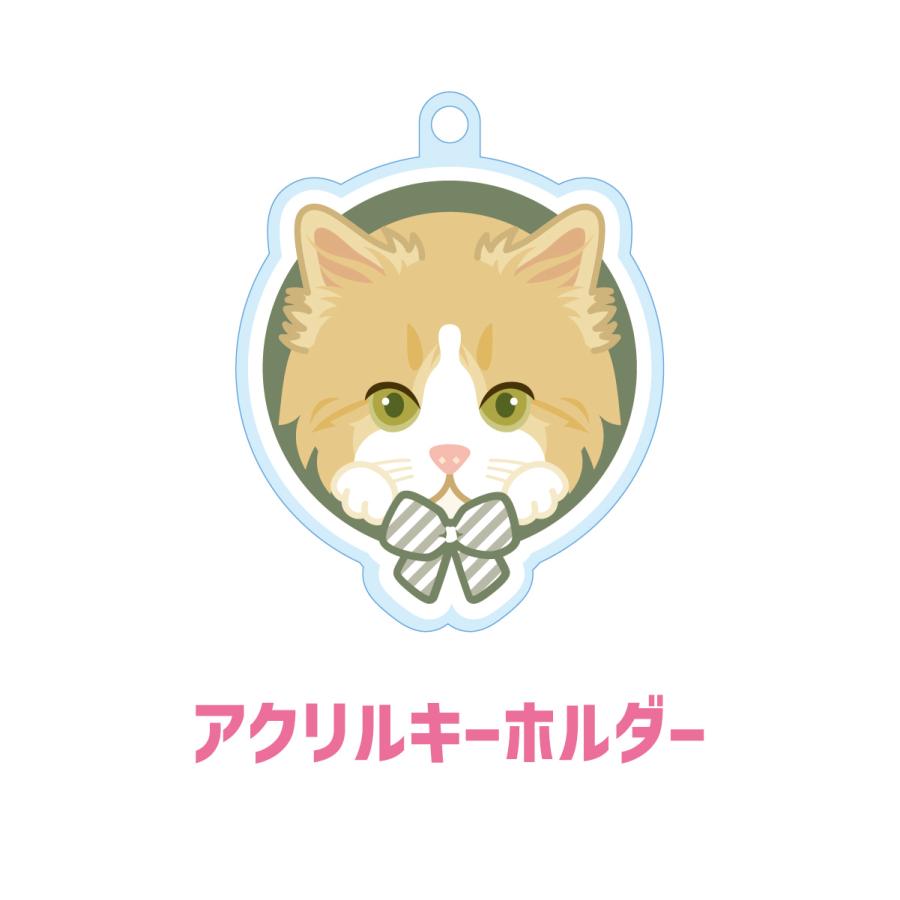 ラガマフィン かわいい キーホルダー 猫 ネコ アクリル グッズ オリジナルイラスト プレゼント 贈り物 記念品 | 