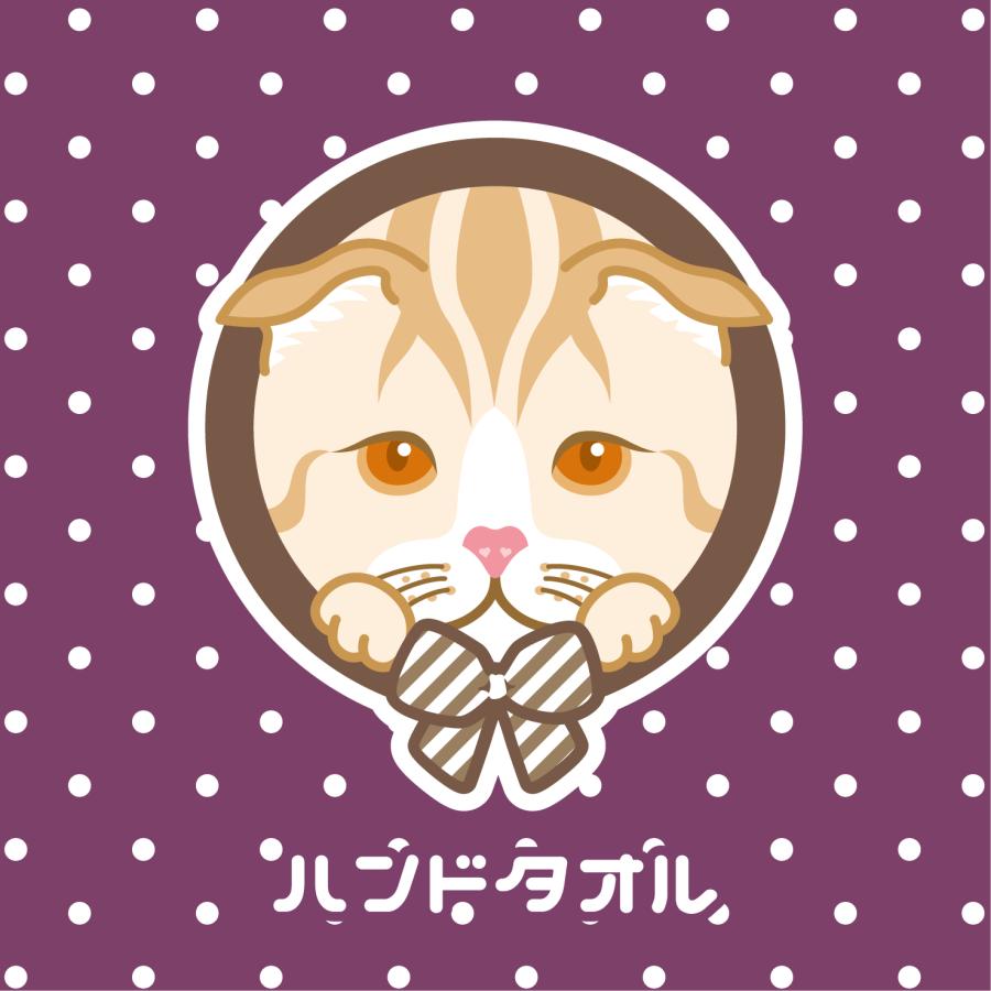 ハンドタオル スコティッシュフォールド 猫 かわいい ハンカチ 動物 おしゃれ プレゼント ペット | 