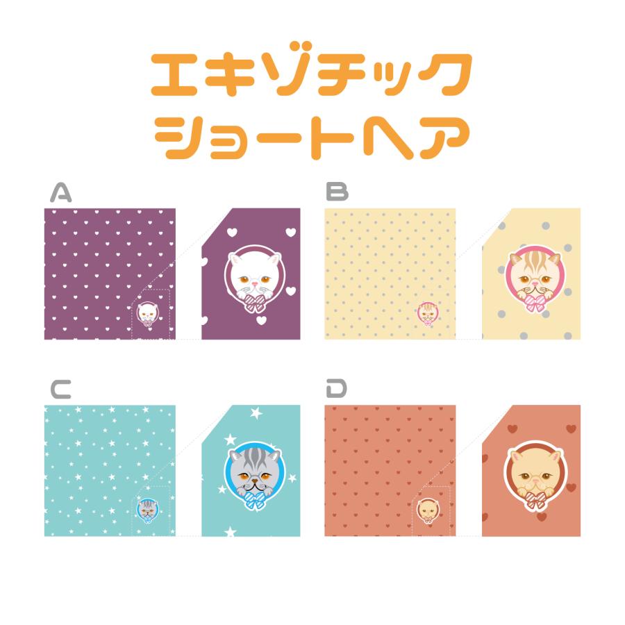 ハンドタオル エキゾチックショートヘア 猫 かわいい ハンカチ 動物 おしゃれ プレゼント ペット |  | 02