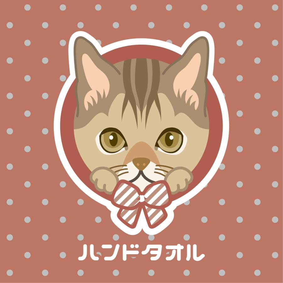 ハンドタオル シンガプーラ 猫 かわいい ハンカチ 動物 おしゃれ プレゼント ペット | 
