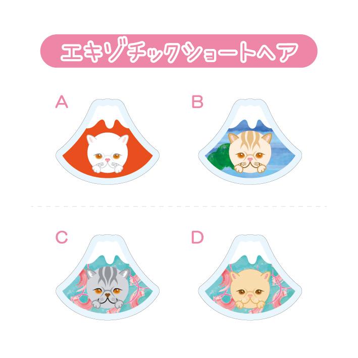 マグネット アクリル エキゾチックショートヘア 静岡 三保 桜海老 赤富士 かわいい 磁石 雑貨 猫 ホワイトボード 冷蔵庫 |  | 03