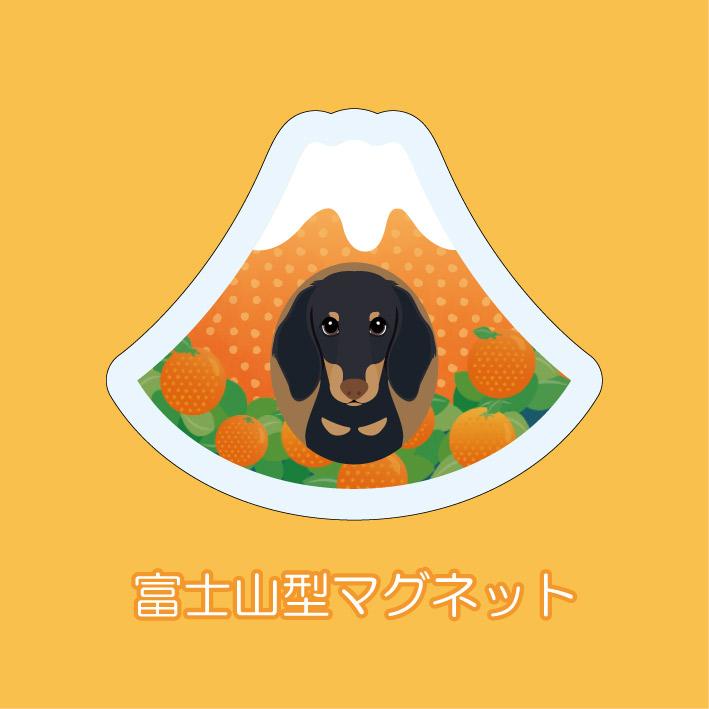 マグネット アクリル ミニチュアダックスフンド 静岡 みかん 桜えび 茶畑 赤富士 さくら いちご 三保 かわいい 磁石 雑貨 犬 ホワイトボード 冷蔵庫 | 