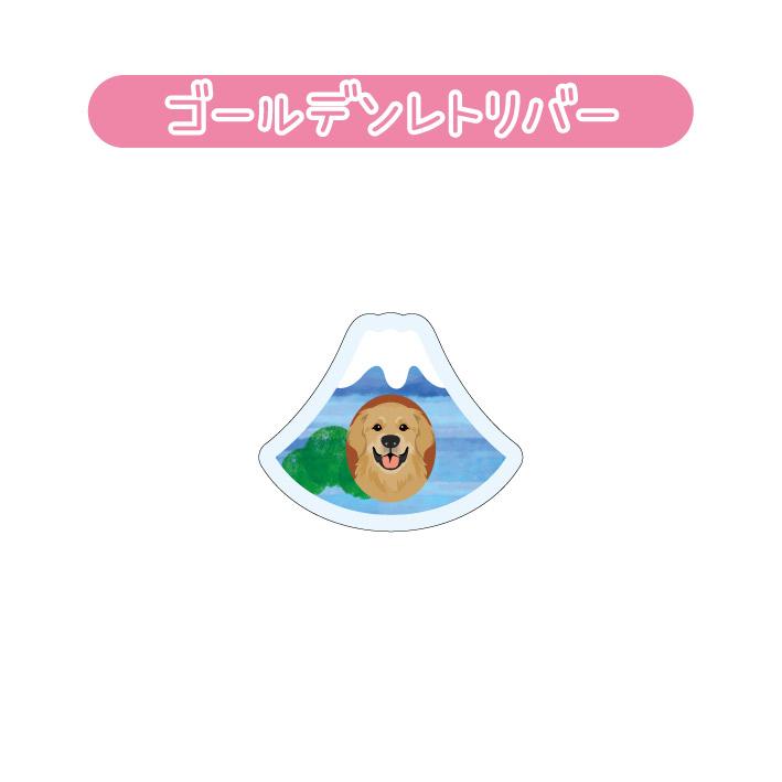 マグネット アクリル ゴールデンレトリバー 静岡 三保 かわいい 磁石 雑貨 犬 ホワイトボード 冷蔵庫 |  | 01
