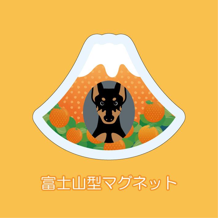 マグネット アクリル ドーベルマン 静岡 みかん かわいい 磁石 雑貨 犬 ホワイトボード 冷蔵庫 | 