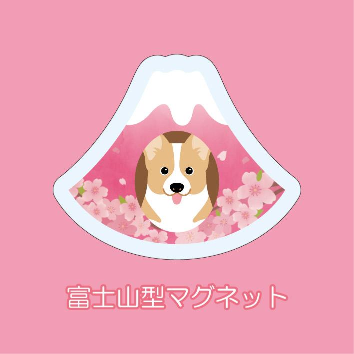 マグネット アクリル コーギー 静岡 さくら かわいい 磁石 雑貨 犬 ホワイトボード 冷蔵庫 | 