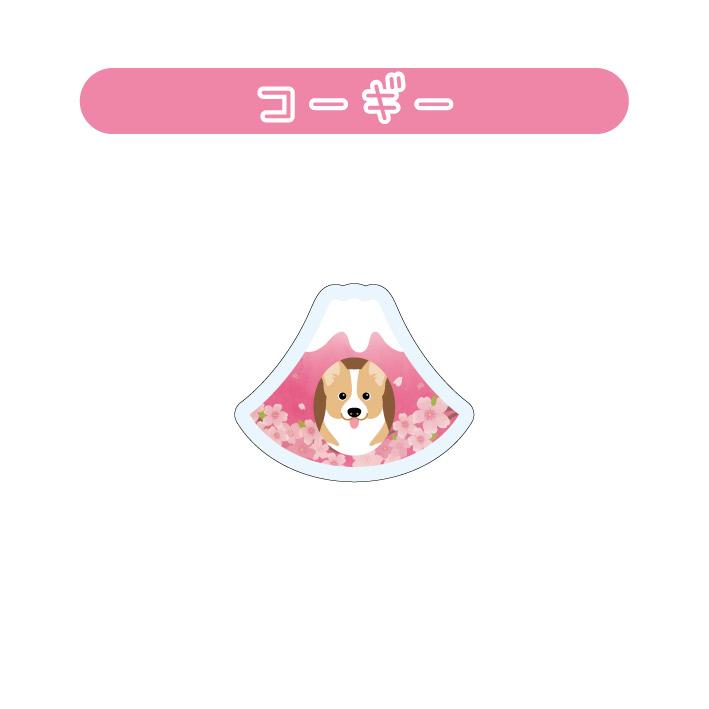 マグネット アクリル コーギー 静岡 さくら かわいい 磁石 雑貨 犬 ホワイトボード 冷蔵庫 |  | 01