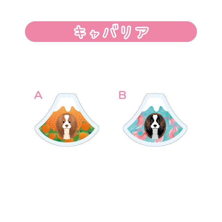 マグネット アクリル キャバリア 静岡 みかん 桜えび かわいい 磁石 雑貨 犬 ホワイトボード 冷蔵庫 |  | 01