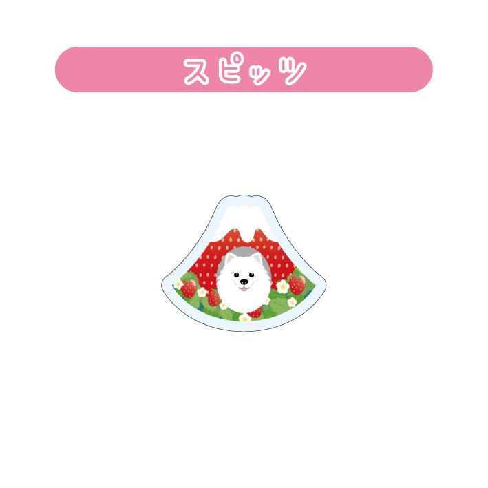 マグネット アクリル スピッツ 静岡 いちご かわいい 磁石 雑貨 犬 ホワイトボード 冷蔵庫 |  | 01