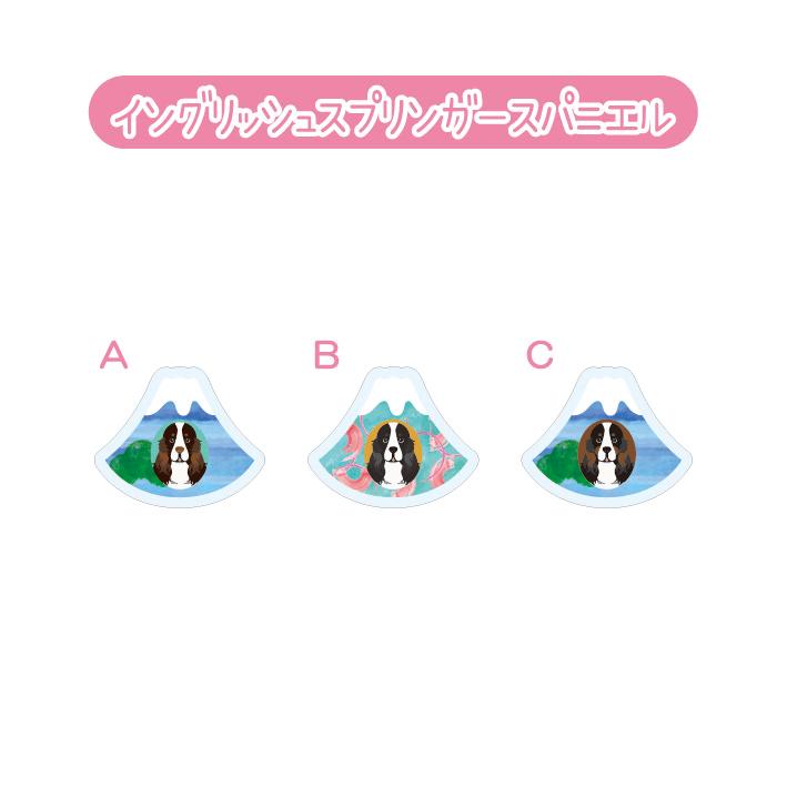 マグネット アクリル イングリッシュスプリンガースパニエル 静岡 三保 桜海老 かわいい 磁石 雑貨 犬 ホワイトボード 冷蔵庫 |  | 03