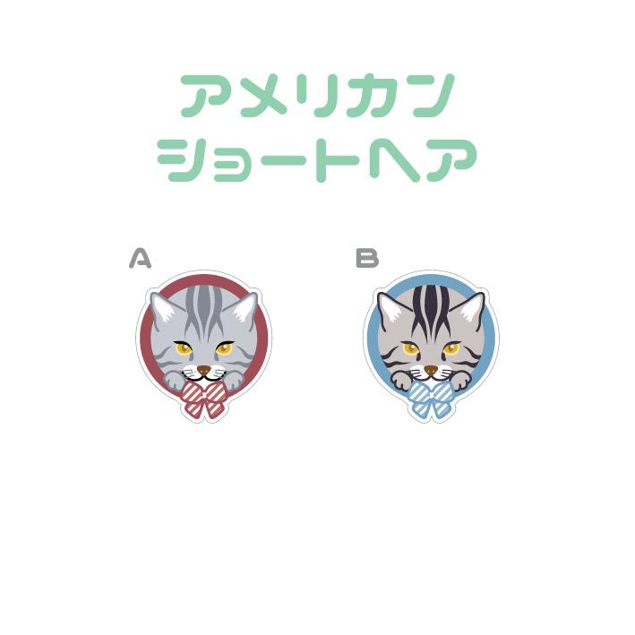 マドラー アメリカンショートヘア 猫 かわいい アクリル 透明 動物 おしゃれ プレゼント ペット |  | 01