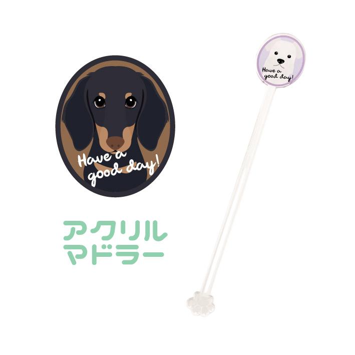 マドラー ミニチュアダックスフンド 犬 かわいい アクリル 透明 動物 おしゃれ プレゼント ペット | 
