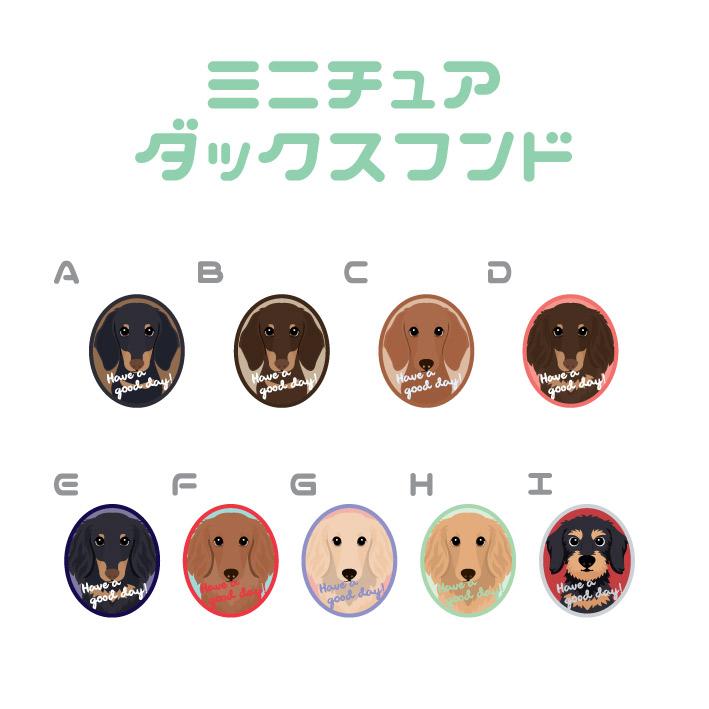 マドラー ミニチュアダックスフンド 犬 かわいい アクリル 透明 動物 おしゃれ プレゼント ペット |  | 01