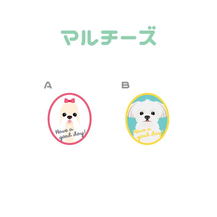 マドラー マルチーズ 犬 かわいい アクリル 透明 動物 おしゃれ プレゼント ペット |  | 01