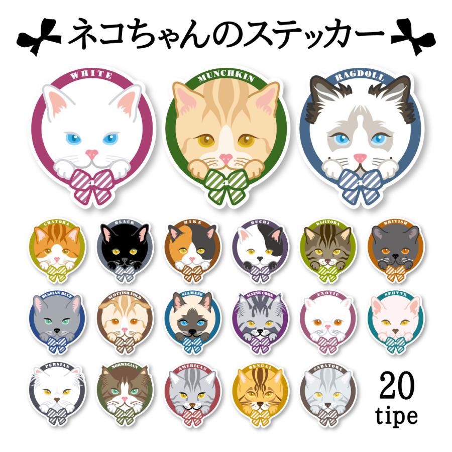 Hello Nyanko ステッカー 猫 ネコ 車 玄関 かわいい