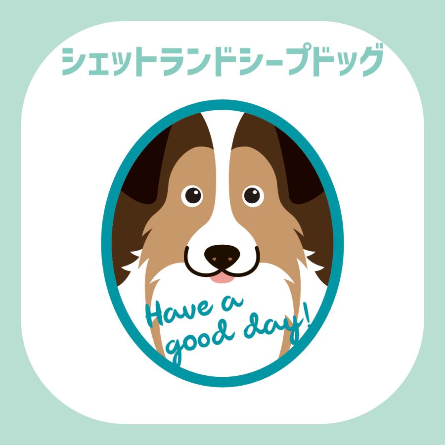 ステッカー　シェットランドシープドッグ　犬　車　ポスト　玄関　かわいい　わんこ　防犯 |  | 02