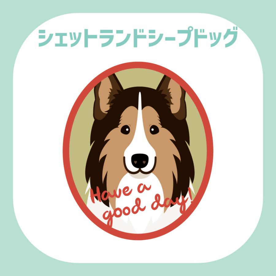 ステッカー　シェットランドシープドッグ　犬　車　ポスト　玄関　かわいい　わんこ　防犯 |  | 02