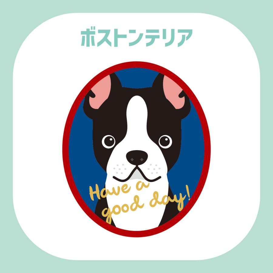 ステッカー　ボストンテリア　犬　車　ポスト　玄関　かわいい　わんこ　防犯 |  | 02