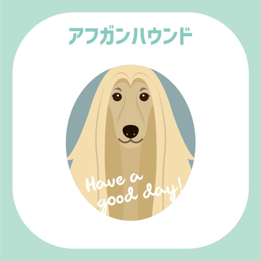 ステッカー　アフガンハウンド　犬　車　ポスト　玄関　かわいい　わんこ　防犯 |  | 02