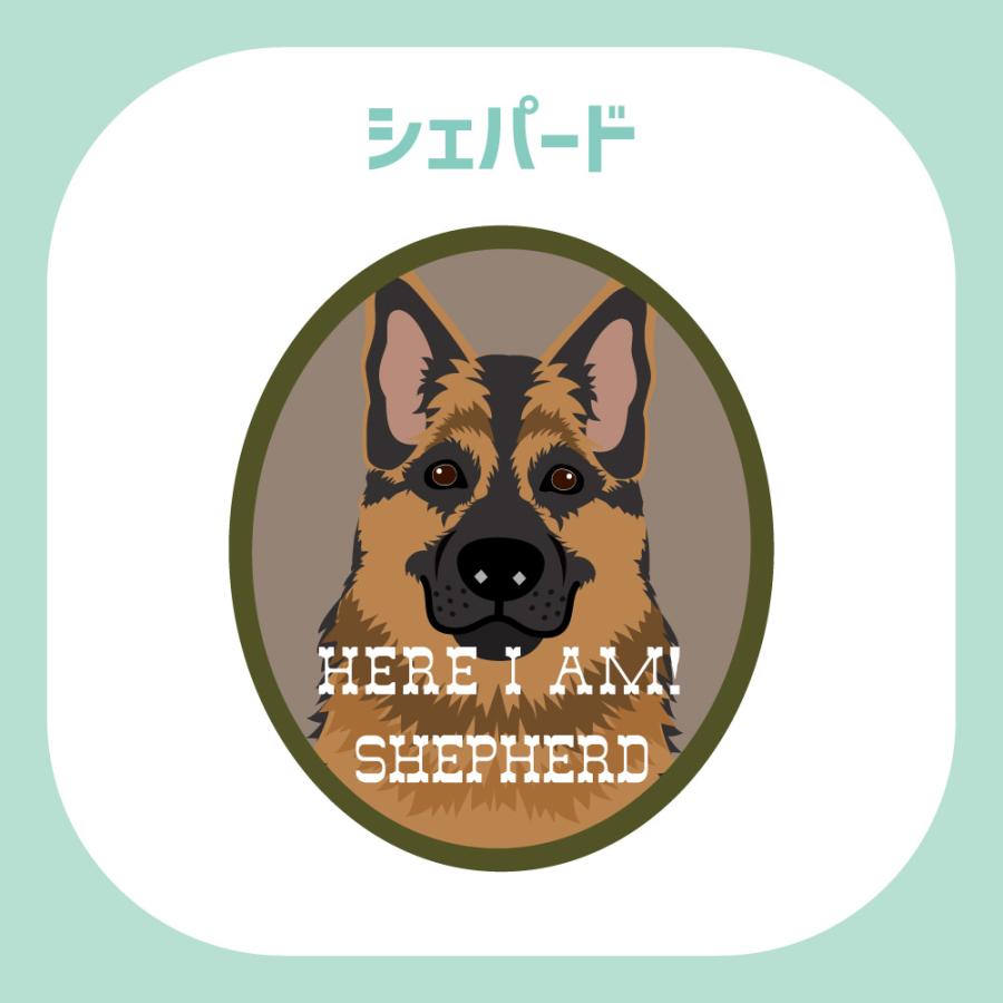 ステッカー　シェパード　犬　車　ポスト　玄関　かわいい　わんこ　防犯 |  | 02