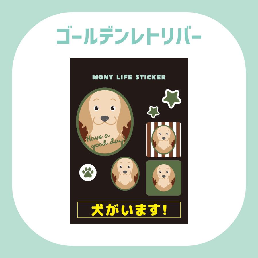 ステッカー　ゴールデンレトリバー　犬　車　ポスト　玄関　かわいい　わんこ　防犯 |  | 01