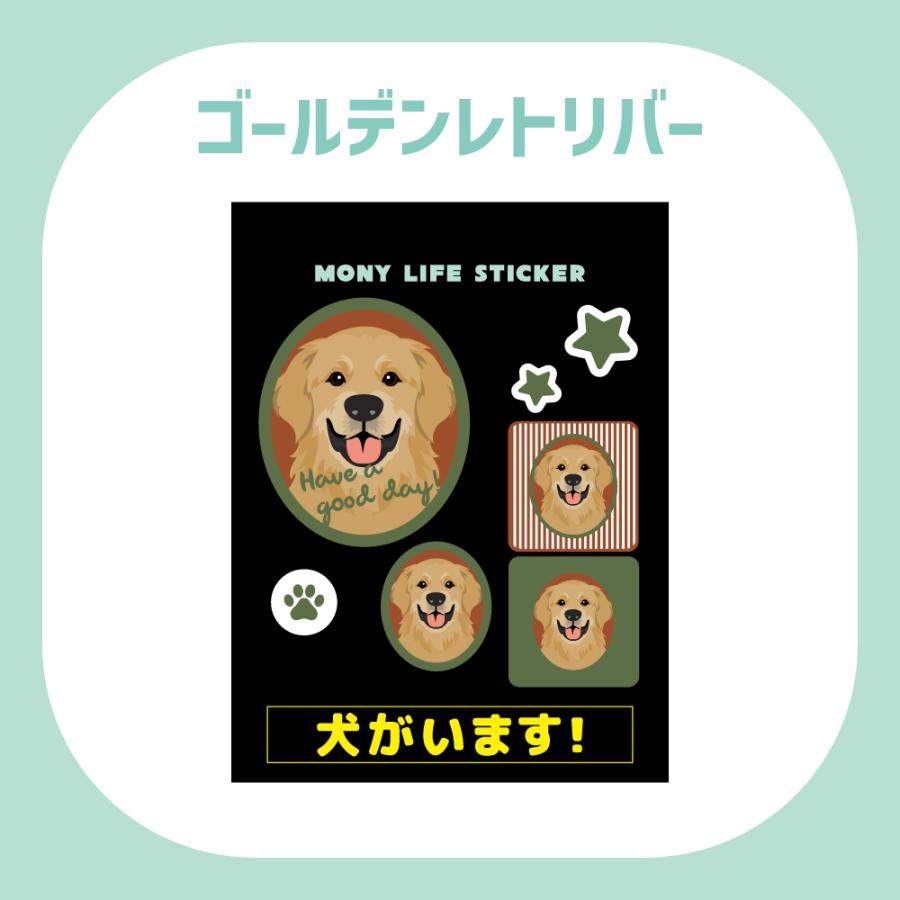 ステッカー　ゴールデンレトリバー　犬　車　ポスト　玄関　かわいい　わんこ　防犯 犬がいます |  | 01