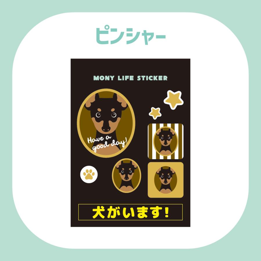 ステッカー　ピンシャー　犬　車　ポスト　玄関　かわいい　わんこ　防犯 |  | 01