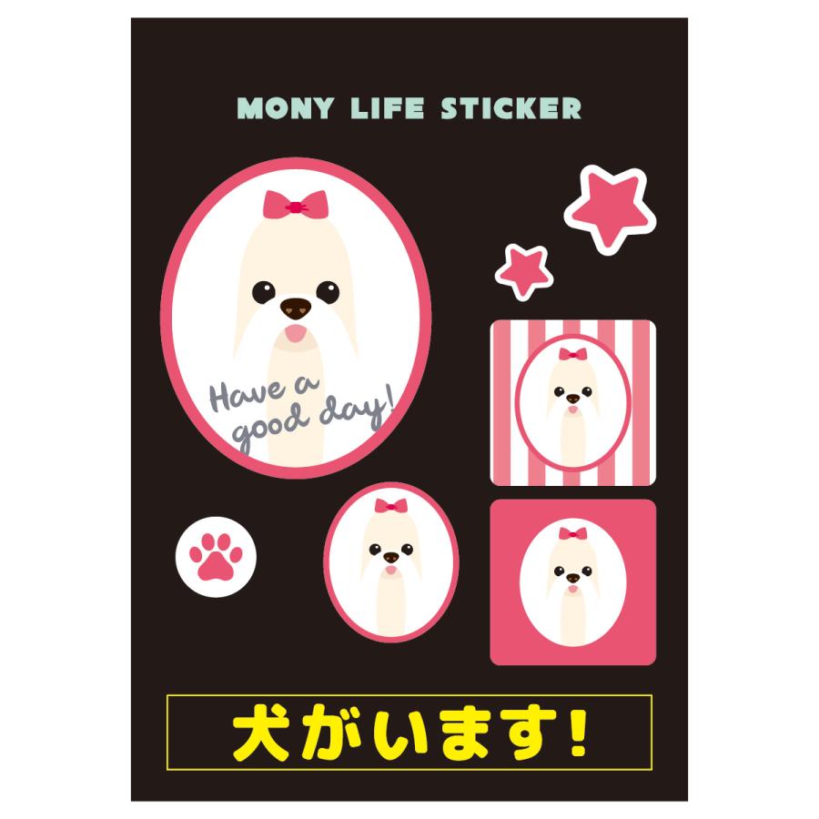 ステッカー　マルチーズ　犬　車　ポスト　玄関　かわいい　わんこ　防犯 | 