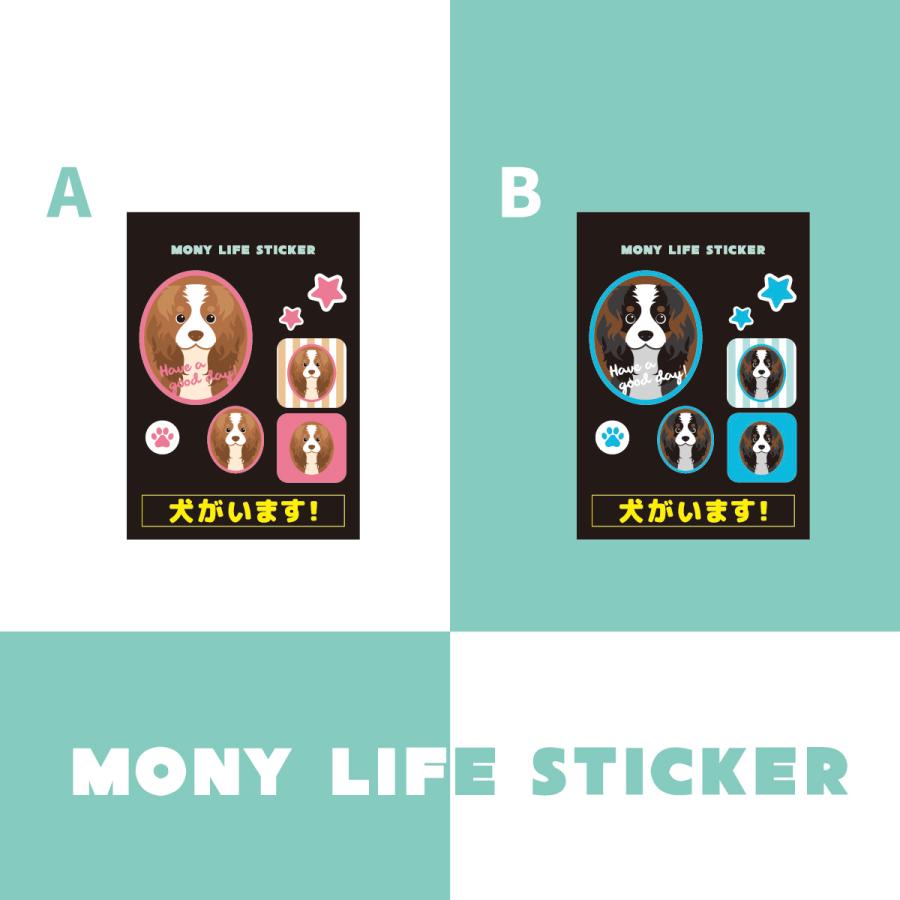 ステッカー　キャバリア　犬　車　ポスト　玄関　かわいい　わんこ　防犯 |  | 01