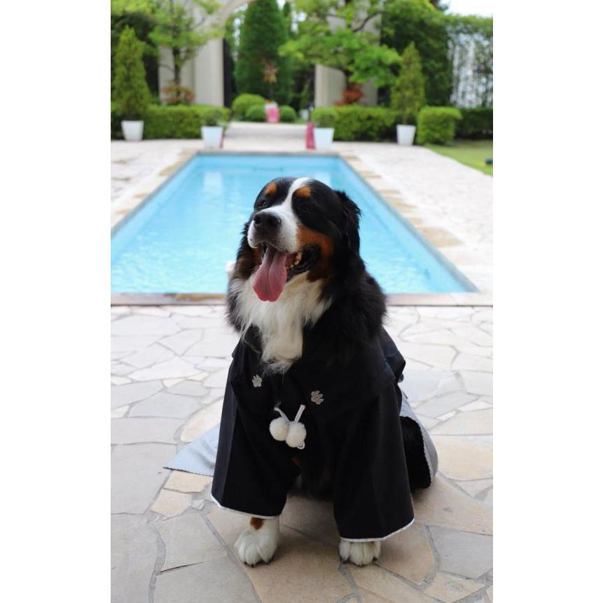 犬 黒紋付 羽織袴 : 犬服オーダーメイドムーンドッグ - 通販 - Yahoo