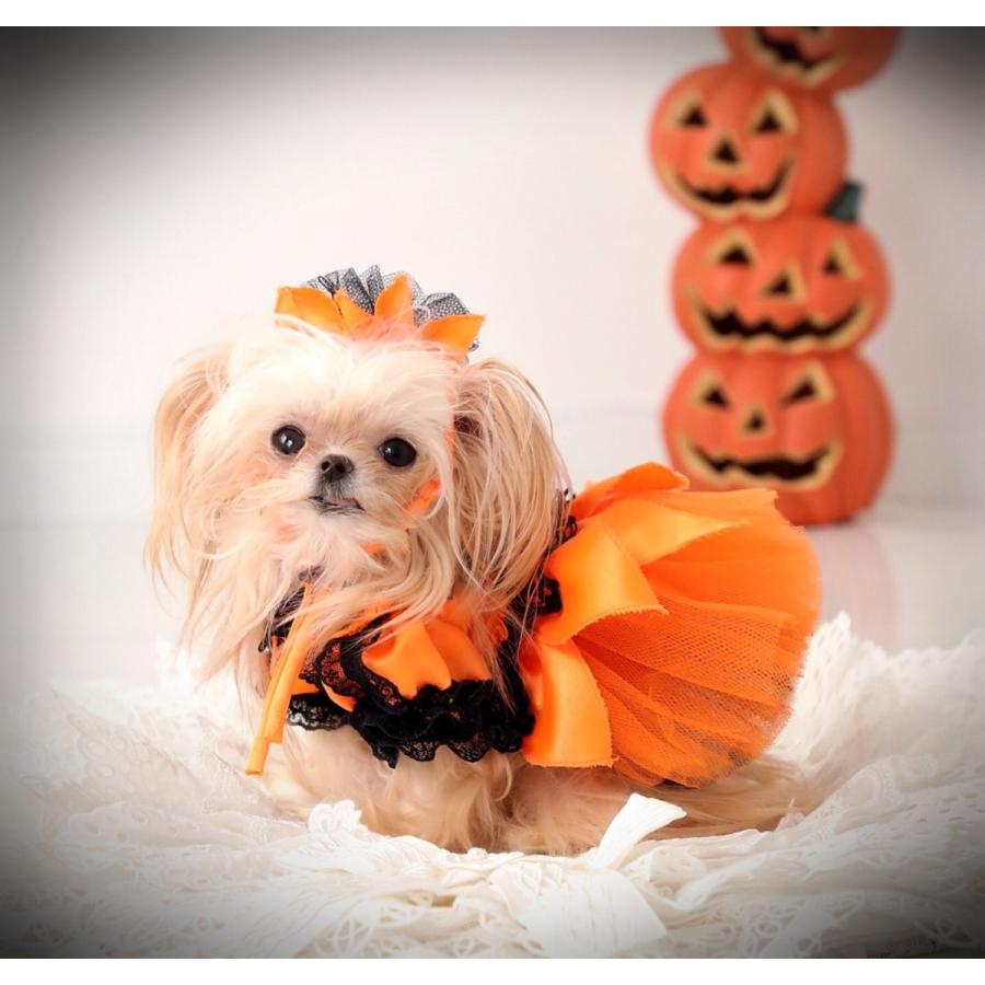 オレンジ/黒 カラードレス hallweendress1犬服オーダーメイドムーンドッグ 通販 Yahoo!ショッピング
