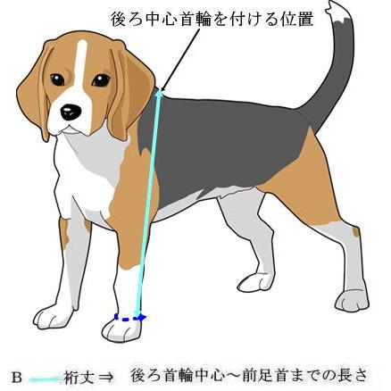 犬　羽織袴　　龍/紫金襴　_5