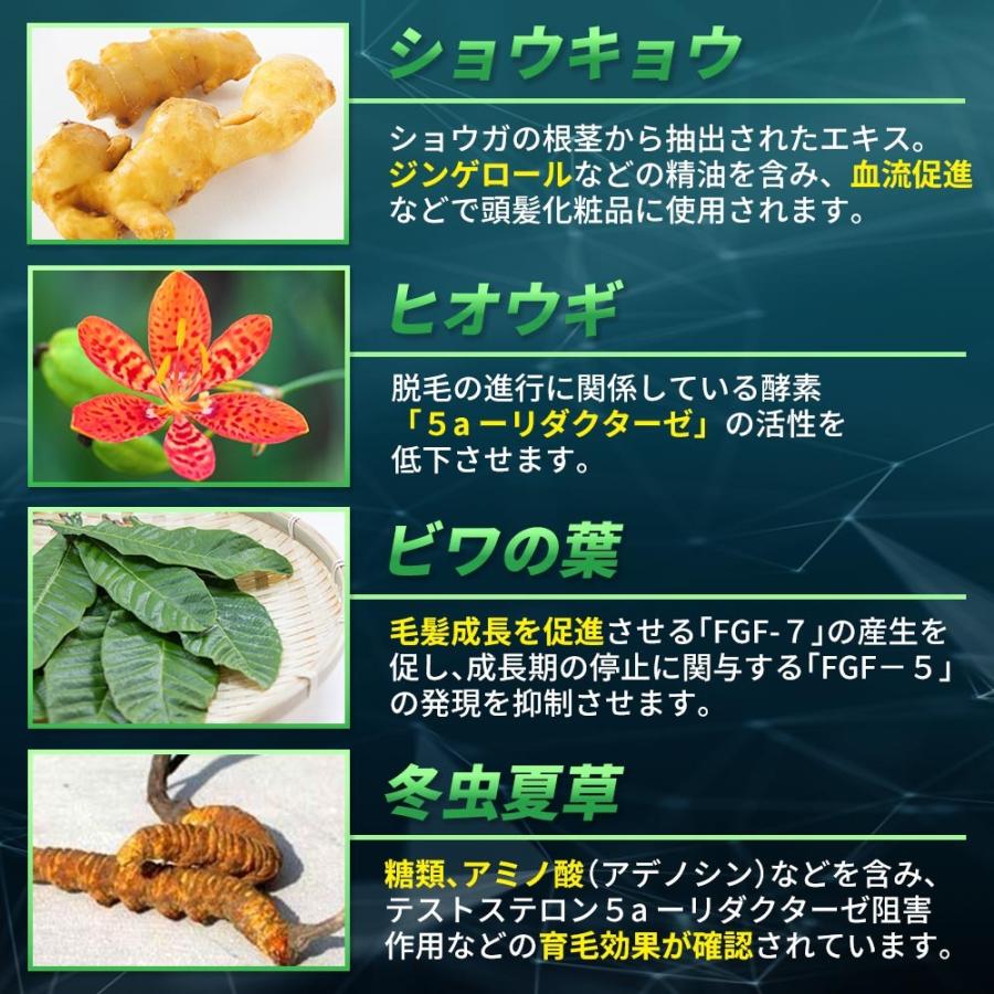【6本おまとめ割引】 育毛剤 豪爽 薬用育毛剤 育毛トニック 発毛剤 スカルプ 育毛 薄毛 男性用 ヘアケアソムリエ美容師 育毛マッサージ マニュアル付 医薬部外品_15