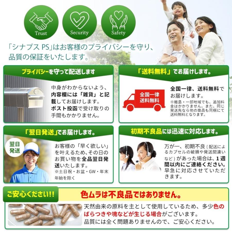 2個おまとめ割引】 【管理栄養士推奨】 ホスファチジルセリン サプリ 