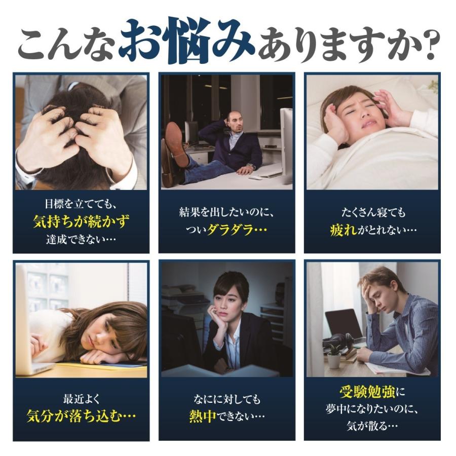 La-idea 【2個おまとめ割引】 L-チロシン サプリ 国産 メンタル やる気 
