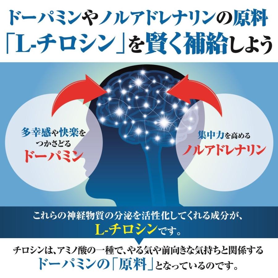La-idea 【2個おまとめ割引】 L-チロシン サプリ 国産 メンタル やる気 
